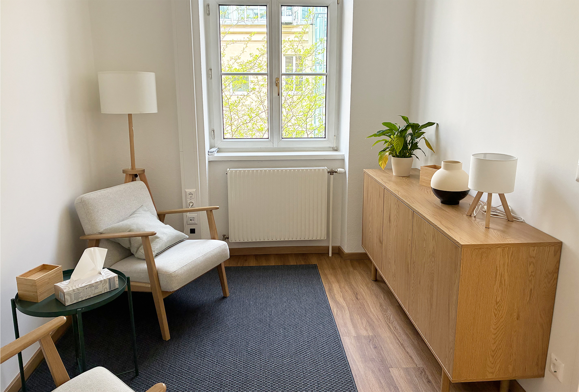 roomview_1 roomview_1